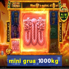 mini grua 1000kg
