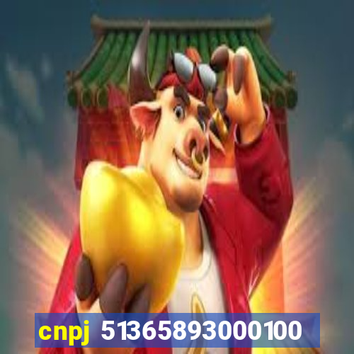 cnpj 51365893000100
