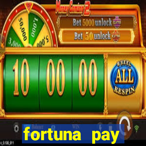 fortuna pay consultoria financeira ltda