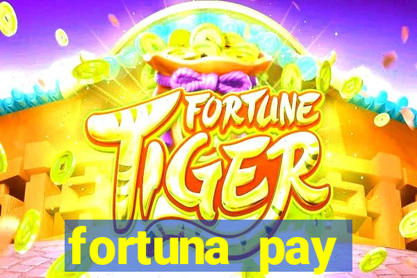 fortuna pay consultoria financeira ltda
