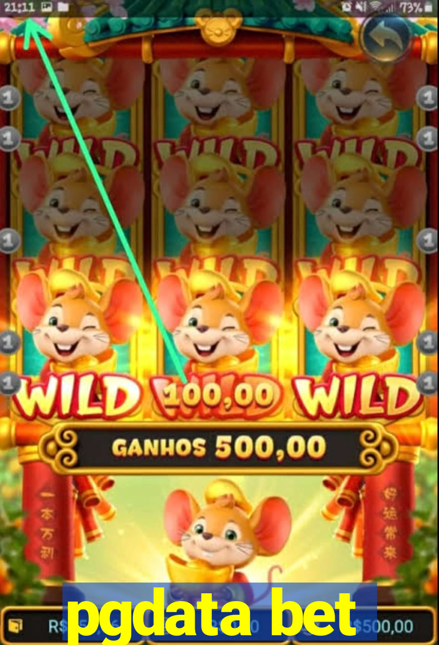 pgdata bet