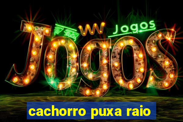 cachorro puxa raio