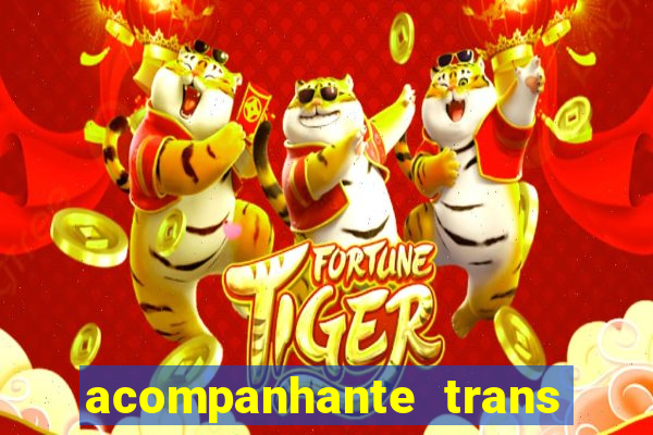 acompanhante trans de porto alegre