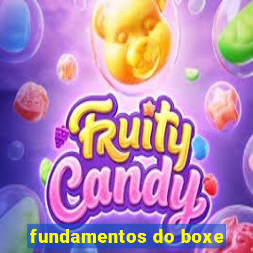 fundamentos do boxe