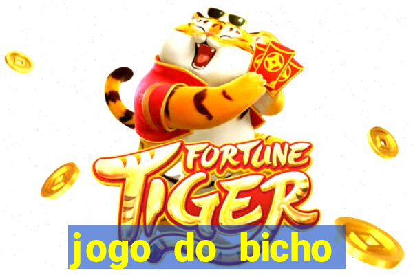 jogo do bicho documentario globoplay