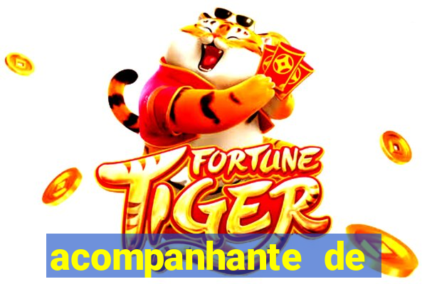 acompanhante de porto seguro