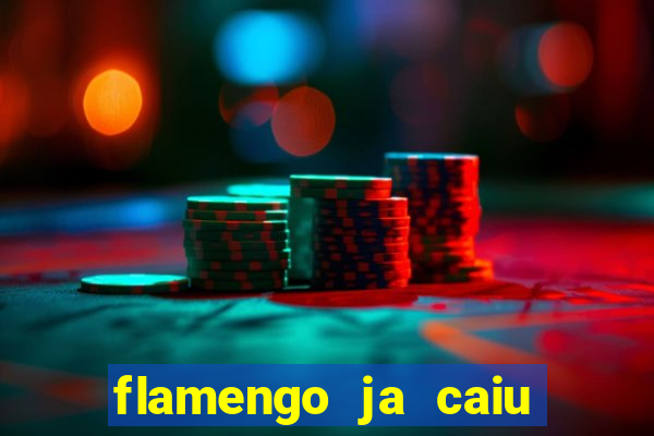 flamengo ja caiu para serie b