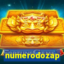 numerodozap