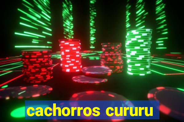 cachorros cururu