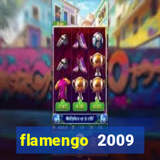flamengo 2009 campeonato brasileiro