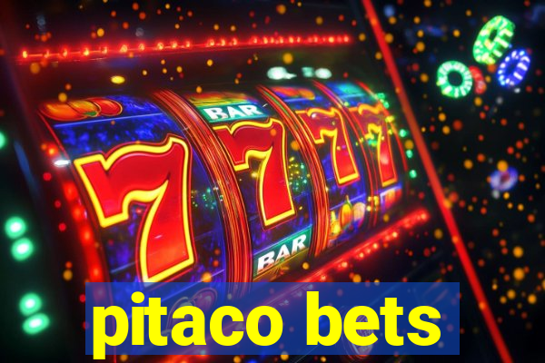 pitaco bets