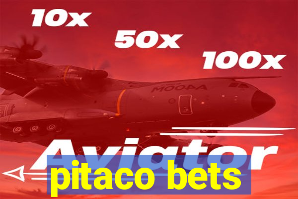 pitaco bets