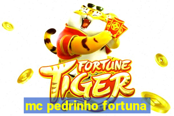 mc pedrinho fortuna