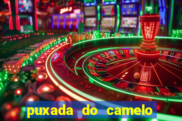 puxada do camelo jogo do bicho