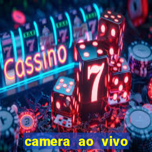 camera ao vivo porto rico