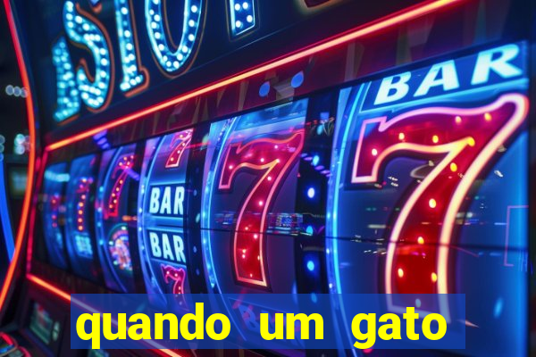 quando um gato aparece do nada significado espiritual