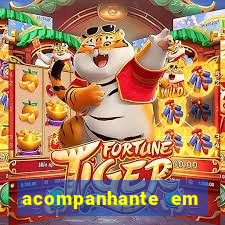 acompanhante em porto de galinha