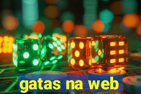 gatas na web