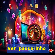 ver passarinho morto significado espiritual