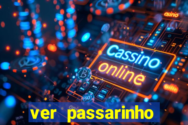 ver passarinho morto significado espiritual