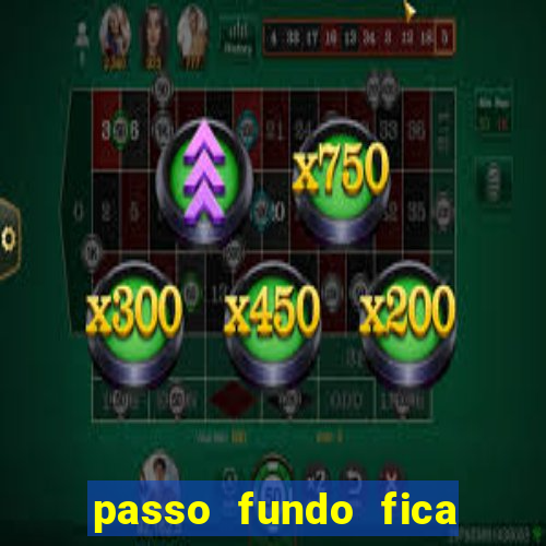 passo fundo fica perto de qual cidade